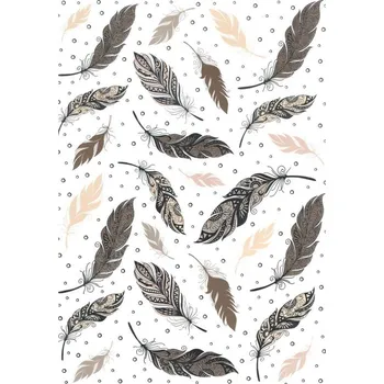 Umělecký papír Ursus Jednostranný papír A4 (5ks) barevné peří 200g/m2