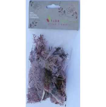 umělá květina Islandský st mech 20gr lila