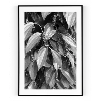 Plakát Plakát / Obraz Pepper A4 - 21 x 29,7 cm Pololesklý saténový papír