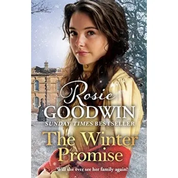 The Winter Promise - Goodwin, Rosie