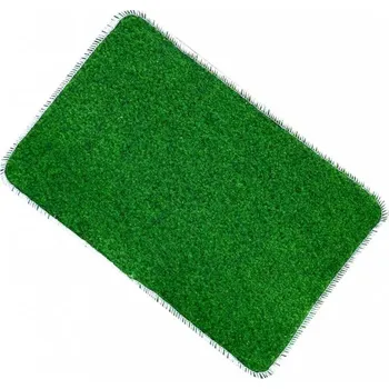 Rohožka Numberoplus Dveřní rohožka 40x60 cm - Standart Barva: Zelená