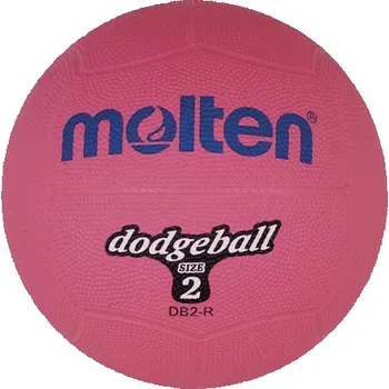 Fotbalový míč Dětský míč MOLTEN DB-R