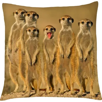 Polštář MyBestHome PRINT Polštář ANIMAL 18 - SURIKATY Mybesthome 40x40 cm Varianta: Povlak na polštář s výplní, 40x40 cm