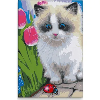 Dětské zboží Malování podle čísel - Kočka s beruškou - 40x60 cm, bez dřevěného rámu - CZ výroba