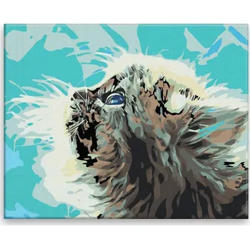 Malování podle čísel - Kočičí pohled - 50x40 cm, bez dřevěného rámu - CZ výroba