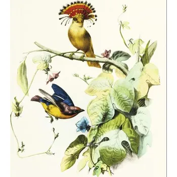 Fototapeta Fototapeta vliesová Pták 1 243x280 cm