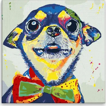 Dětské zboží Malování podle čísel - Čivava s motýlkem - 40x40 cm, bez dřevěného rámu - CZ výroba