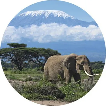 Fototapeta Fototapeta vliesová Kilimandžáro 190 cm