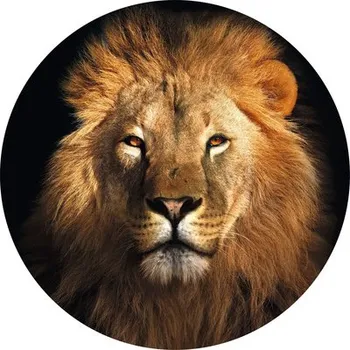 Fototapeta Fototapeta vliesová Lev 190 cm