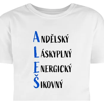 Pánské tričko Hütermann Tričko s potiskem Aleš