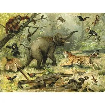 Fototapeta Fototapeta vliesová Zvíře z džungle 243x184 cm