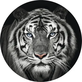 Fototapeta Fototapeta vliesová Tygr čb 142,5 cm