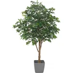 Vert Espace Strom dub 280 cm