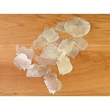 Zvonkohra z perleti sloni