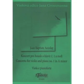 Koncert pro housle a klavír č. 1 a moll