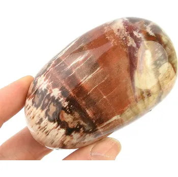 Přírodní kámen Zkamenělé dřevo z Madagaskaru 221g