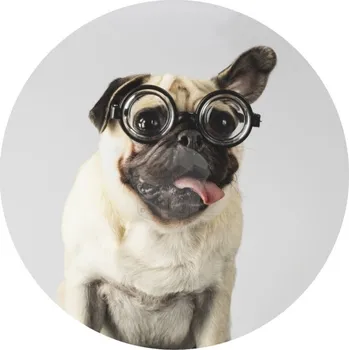 Jedlá dekorace na dort Caketools Jedlý papír "Psi 9" Mops 2 - A4