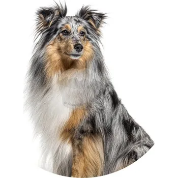 Jedlá dekorace na dort Caketools Jedlý papír "Psi 5" Australský ovčák - A4