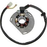 ElectroSport Stator KTM ELS-0406
