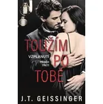Toužím po tobě - J. T. Geissinger…