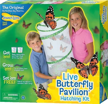 Insect Lore Motýlí pavilon 1030 (6-10 housenek) 