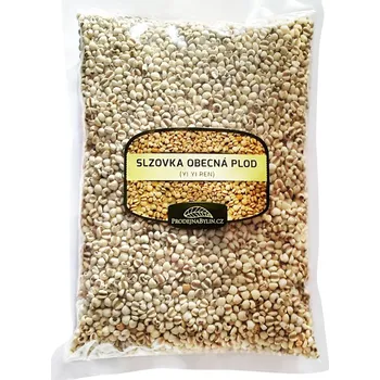 Prodejnabylin.cz Slzovka obecná semínka, 1 kg