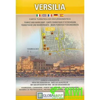 Litografa artistica Cartografica mapa Versilia 1:35 t.