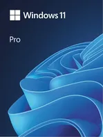 Microsoft Windows 11 Pro ESD 64-bit