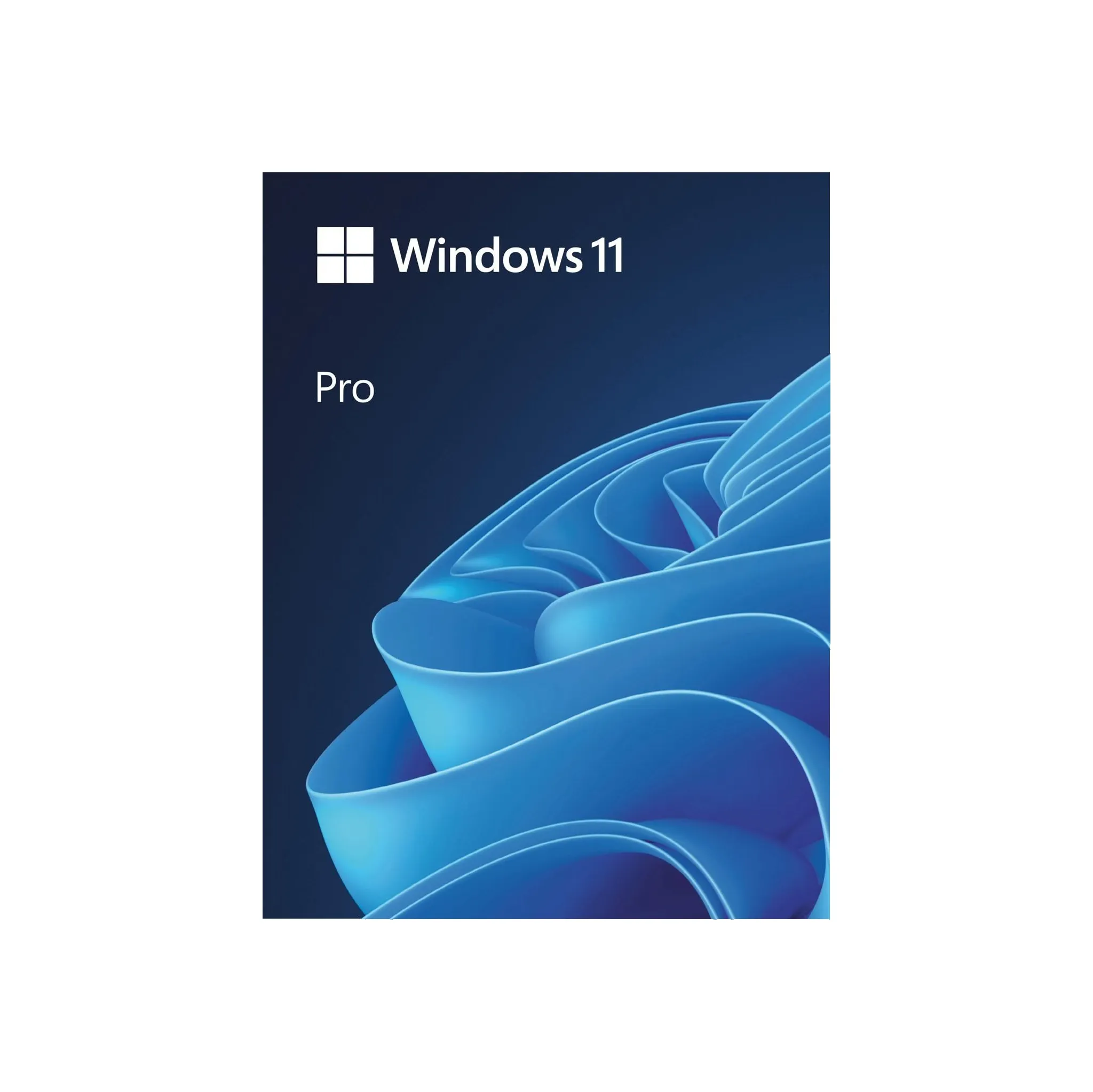Fotografie 1 - Operační systém Microsoft Windows 11 Pro ESD 64-bit