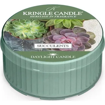 Svíčka Kringle Candle Vonná Svíčka Succulents, 35 g