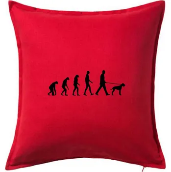 Polštář Evoluce pes ohař - Polštář 50x50 - 50x50 - Pouze potah ( Červená )