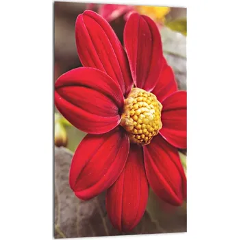 Obraz LuxusniObrazy.cz Obraz květiny