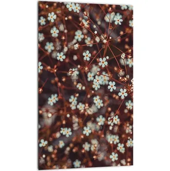 Obraz LuxusniObrazy.cz Obraz květiny Pomněnka lesní