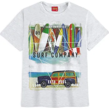 Chlapecké tričko Chlapecké tričko KYLY SURF COMPANY šedé Velikost: 152