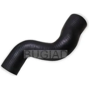 Hadička plnicího vzduchu BUGIAD 88621