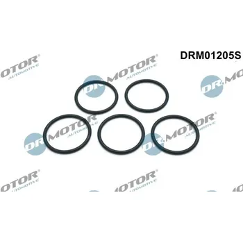 Těsnění motoru Sada těsnění, vodní čerpadlo Dr.Motor Automotive DRM01205S