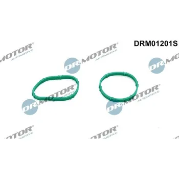 Těsnění motoru Sada těsnění, koleno sacího potrubí Dr.Motor Automotive DRM01201S