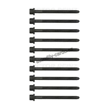 Těsnění motoru Sada šroubů pro hlavy válcu VICTOR REINZ (VR 14-32165-01)