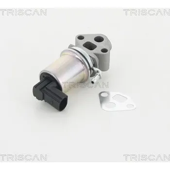 Ventil palivového systému AGR-Ventil TRISCAN 8813 29007