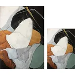 Koupelnové předložky v sadě 2 ks 60x100 cm Post Modern Art – Mila Home ID_1444556