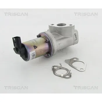 Ventil palivového systému AGR-Ventil TRISCAN 8813 43021