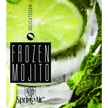 Osvěžovač vzduchu Spring Air Aerospray Frozen Mojito 250 ml