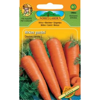 Semeno Mrkev pozdní TINGA