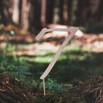 Vánoční ozdoba Dřevěná zapichovací ozdoba- Číslice 7