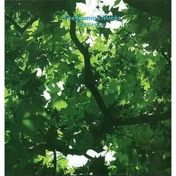 Zahraniční hudba LP The Jasmine Minks: Another Age 2024