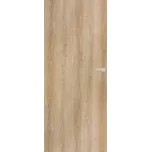 Interiérové dveře DRE Standard 10 pravé 80 cm jilm IBIZAJ80P