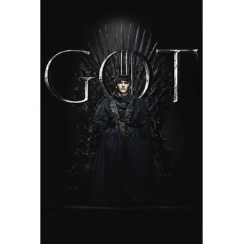 Plakát Plakát, Obraz - Game of Thrones - Bran Stark
