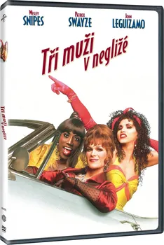 DVD film DVD Tři muži v negližé (1995)