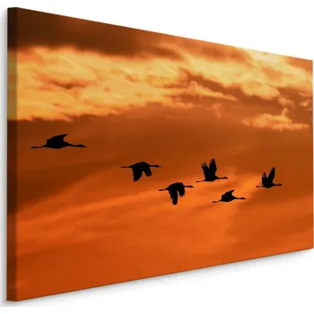 Obraz MyBestHome BOX Plátno Ptáci na obloze Varianta: 30x20