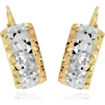 Náušnice Zlatnictví U Kostela Dámské patentové náušnice 4770.45 554493187